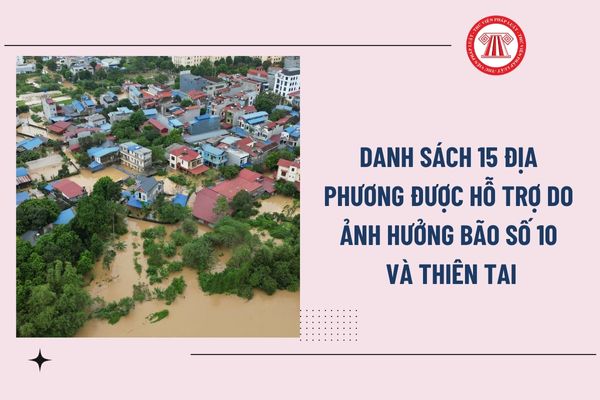 Pháp luật
