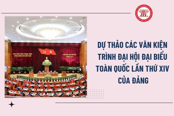 Pháp luật