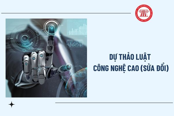 Pháp luật