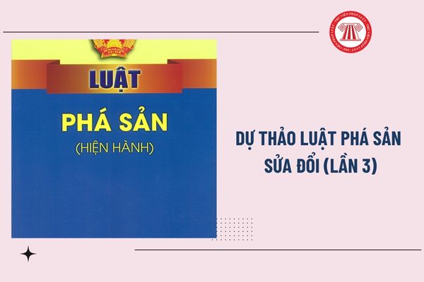 Pháp luật