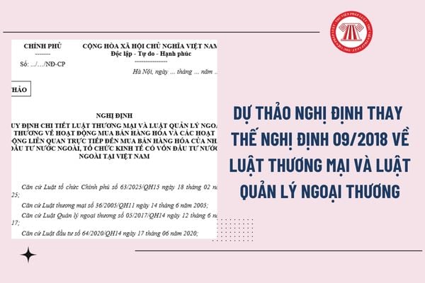 Pháp luật