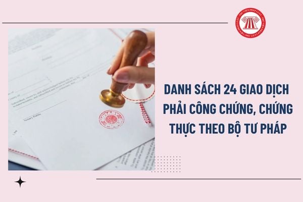 Pháp luật