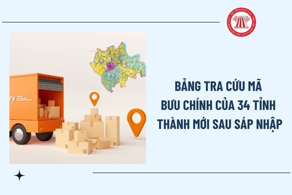 Pháp luật