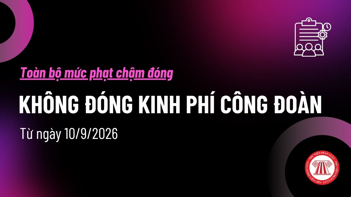 Pháp luật