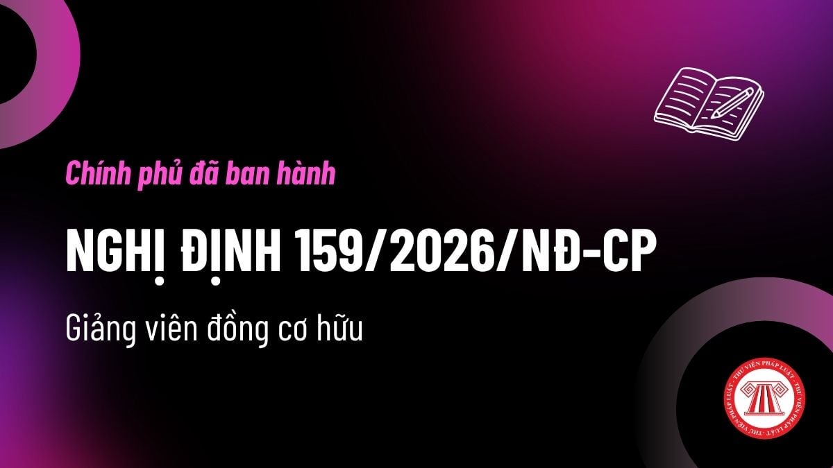 Pháp luật