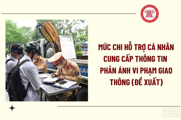 Pháp luật