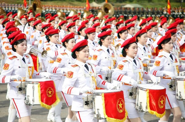 Pháp luật
