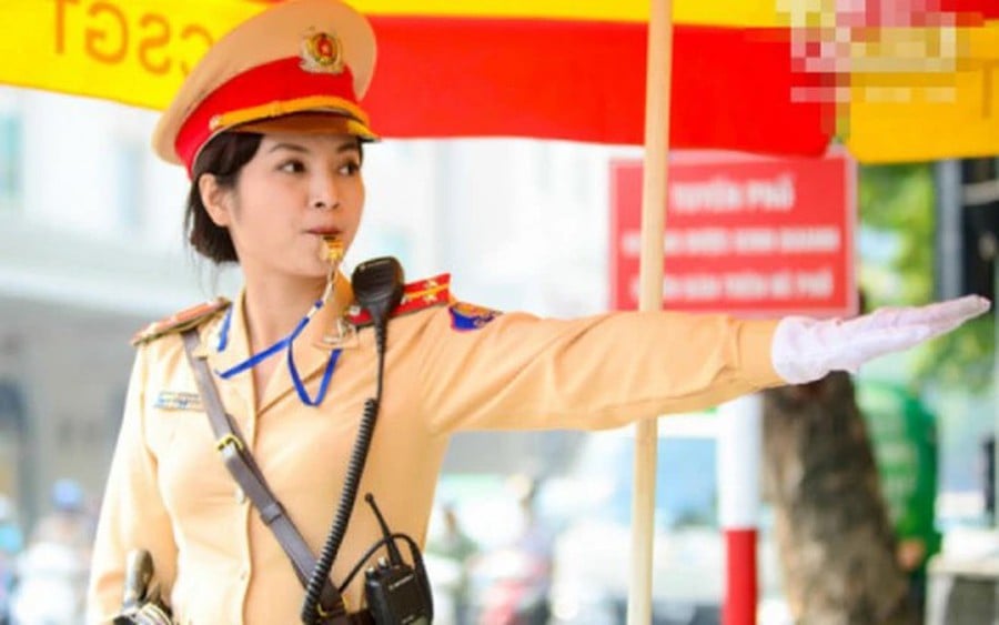 Pháp luật