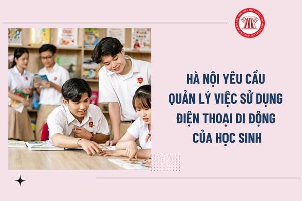 Pháp luật