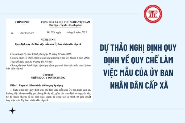 Pháp luật