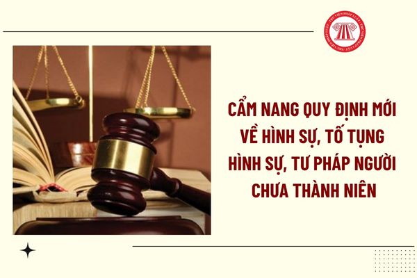 Pháp luật
