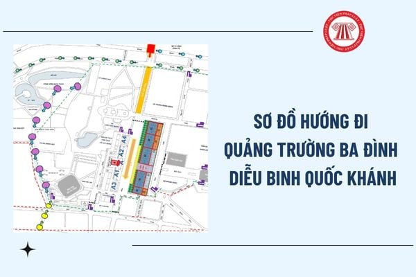 Pháp luật