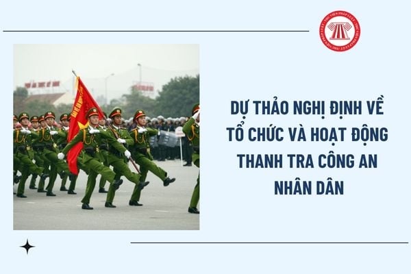 Pháp luật