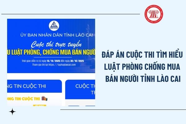 Pháp luật