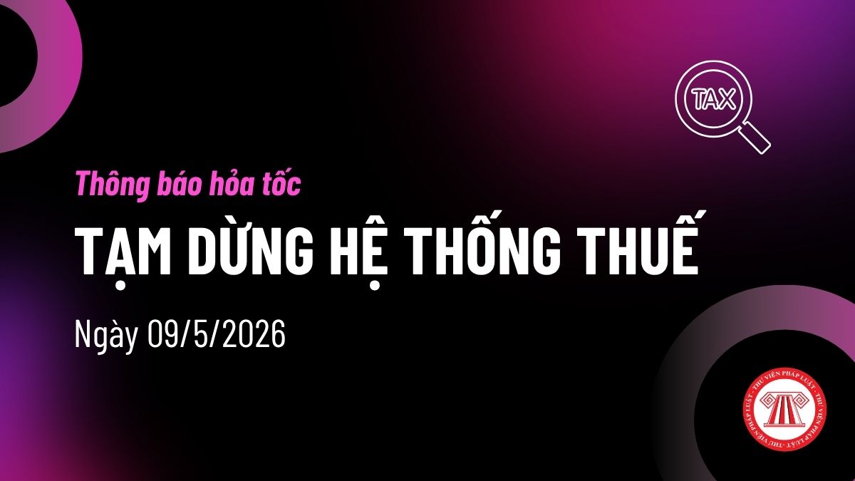 Pháp luật