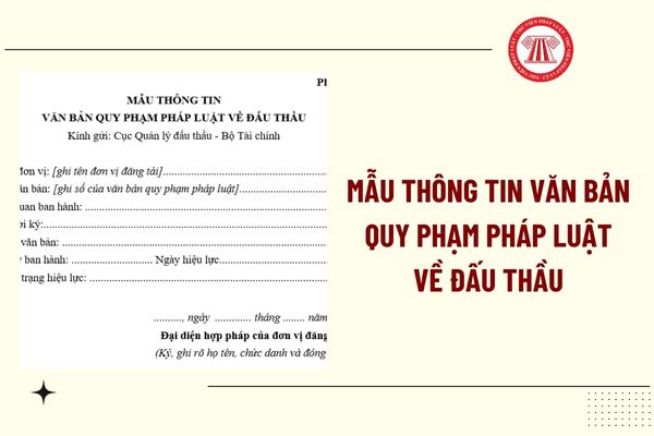 Pháp luật