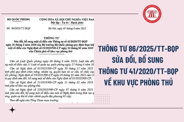 Pháp luật