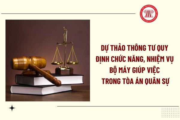 Pháp luật