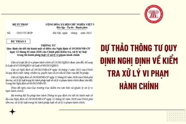 Pháp luật