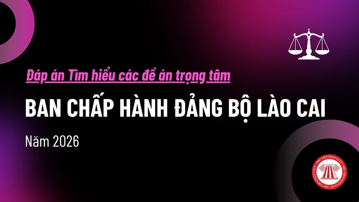 Pháp luật
