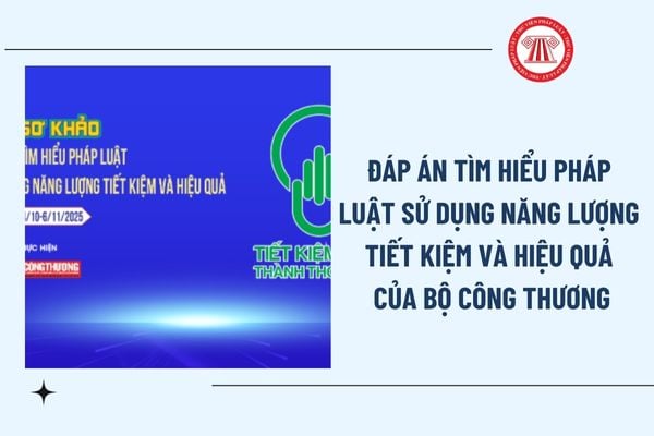 Pháp luật