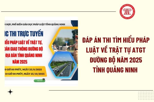 Pháp luật