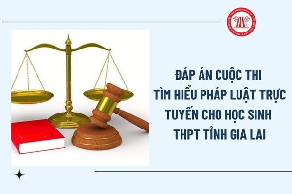 Pháp luật