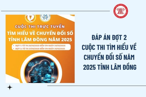 Pháp luật