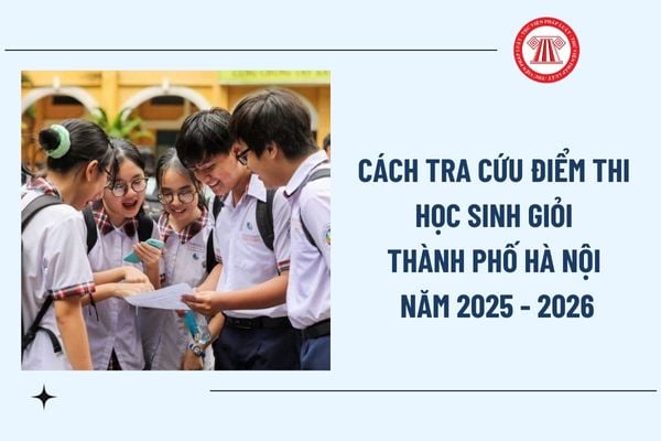 Pháp luật