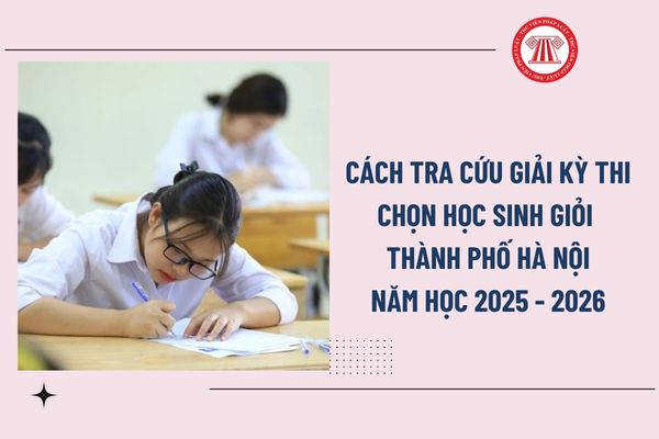Pháp luật