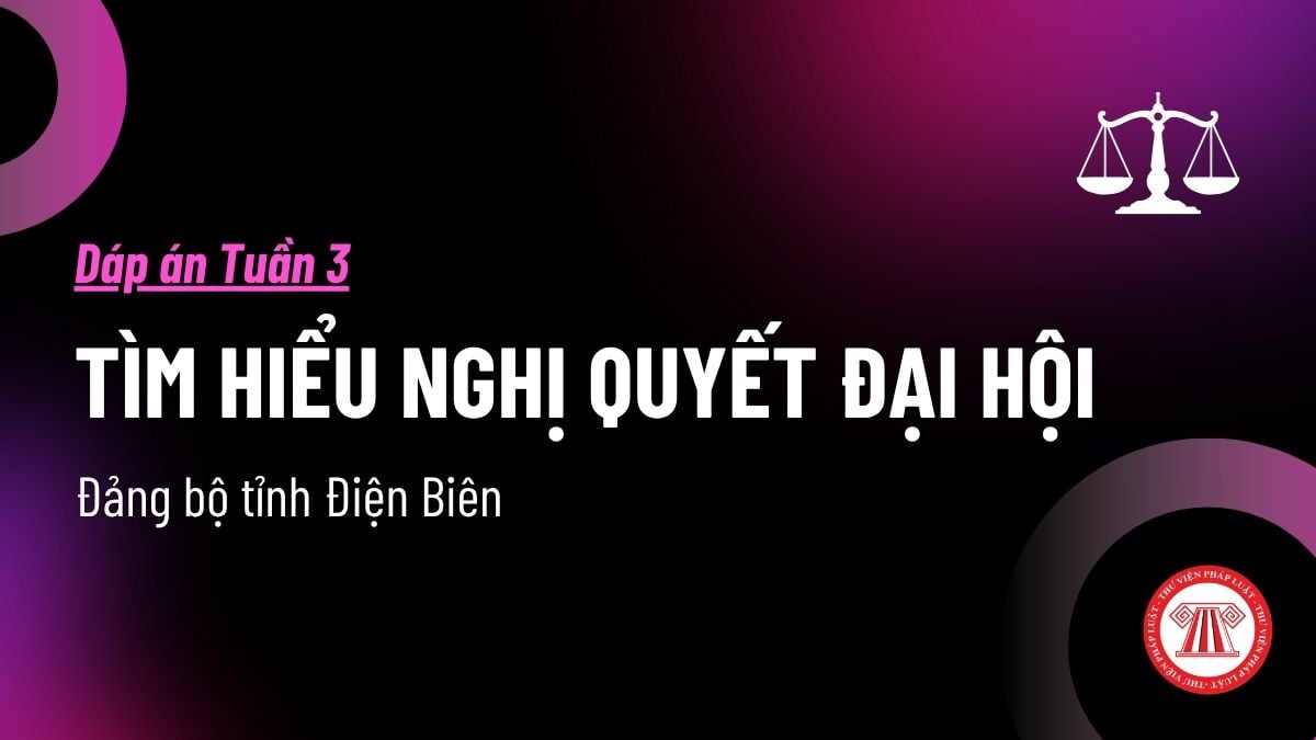 Pháp luật