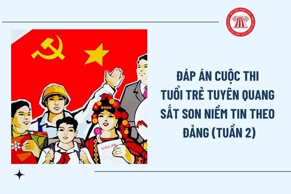 Pháp luật