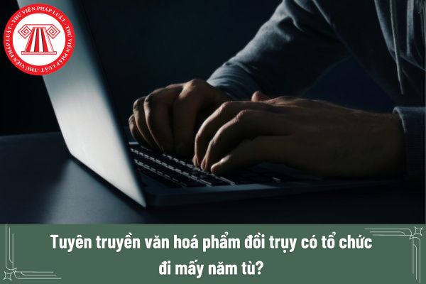 Tuyên truyền văn hoá phẩm đồi trụy có tổ chức đi mấy năm tù? Hành vi nào thì được xem là tuyên truyền văn hoá phẩm đồi trụy?