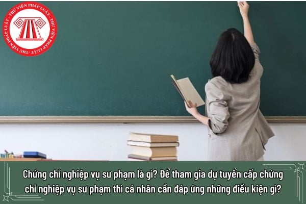 Chứng chỉ nghiệp vụ sư phạm là gì? Để tham gia dự tuyển cấp chứng chỉ nghiệp vụ sư phạm thì cá nhân cần đáp ứng những điều kiện gì?