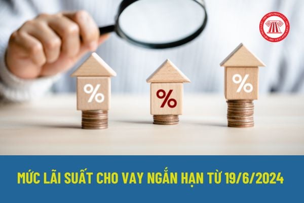 Mức lãi suất cho vay ngắn hạn tối đa bằng đồng Việt Nam mới nhất 2024 là bao nhiêu? Quyết định 1125/QĐ-NHNN 2024 quy định lãi suất như thế nào?