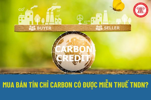 Mua bán tín chỉ Carbon có được miễn thuế TNDN? Quy định mới trong dự thảo luật về miễn thuế TNDN với thu nhập từ tín chỉ Carbon như thế nào?