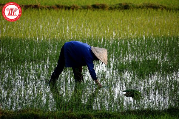 Tổ chức đã chủ trì dự án khuyến nông trung ương có kết quả nghiệm thu ở mức không đạt thì có được đăng ký tham gia chủ trì dự án không?