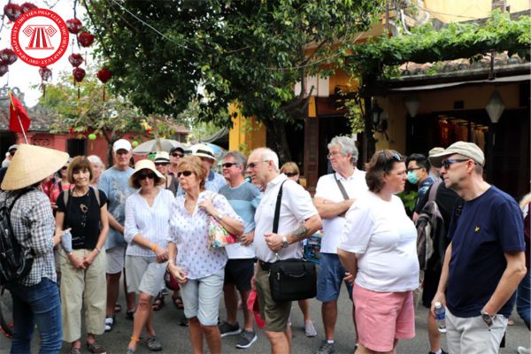 Khách du lịch quốc tế đến Việt Nam có được tự đi du lịch không hay bắt buộc phải sử dụng dịch vụ do tổ chức, cá nhân kinh doanh du lịch cung cấp?