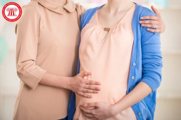 Hồ sơ đề nghị thực hiện kỹ thuật mang thai hộ vì mục đích nhân đạo có cần xác nhận tình trạng chưa có con chung của vợ chồng nhờ mang thai hộ không?