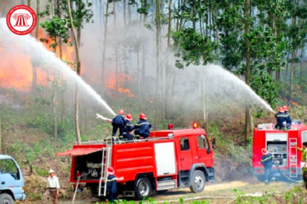 Việc thực hiện phương châm 4 tại chỗ trong nguyên tắc phòng cháy và chữa cháy rừng bao gồm những gì?
