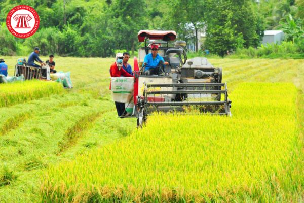 Quỹ hỗ trợ nông dân có cho vay vốn đối với hội viên Hội nông dân Việt Nam để xây dựng và nhân rộng các mô hình sản xuất kinh doanh không?