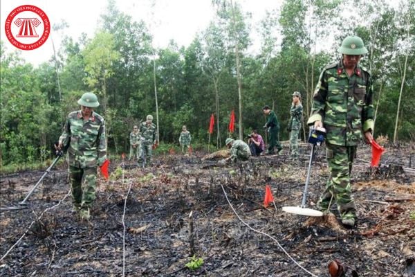 Những thông tin về tình trạng ô nhiễm bom mìn vật nổ được thu thập từ các hoạt động điều tra, khảo sát phải được gửi đến đâu?