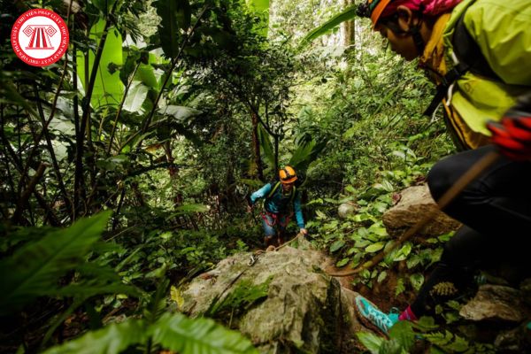 Hoạt động thám hiểm rừng có được xem là sản phẩm du lịch có nguy cơ gây ảnh hưởng đến tính mạng, sức khỏe của khách du lịch không?
