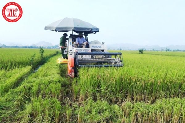 Việc cho vay tín dụng phục vụ phát triển nông nghiệp, nông thôn có cho vay cung ứng các sản phẩm, dịch vụ phục vụ quá trình sản xuất nông nghiệp không?