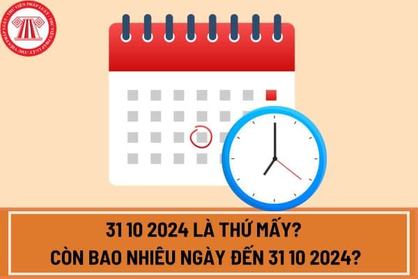 31 10 2024 là thứ mấy? Còn bao nhiêu ngày đến 31 10 2024? 