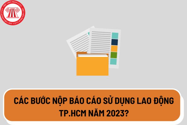 Nộp báo cáo sử dụng lao động TP.HCM năm 2023 trước ngày 05/12? Các bước nộp báo cáo sử dụng lao động TP.HCM năm 2023?