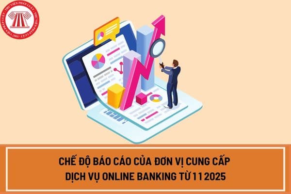 Chế độ báo cáo của đơn vị cung cấp dịch vụ Online Banking từ 1 1 2025 theo Thông tư 50 2024?