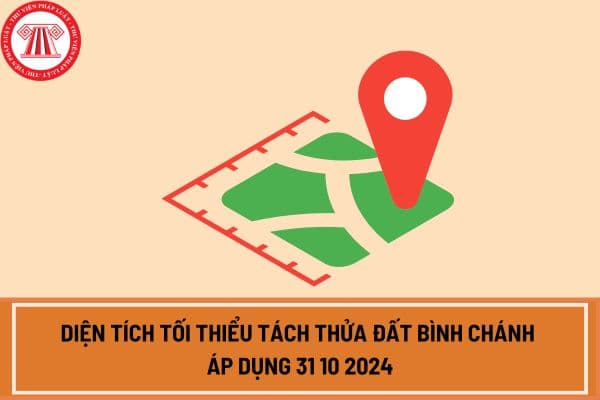 Diện tích tối thiểu tách thửa đất Bình Chánh áp dụng 31 10 2024? Điều kiện, nguyên tắc tách thửa đất, hợp thửa đất tại TPHCM như thế nào?