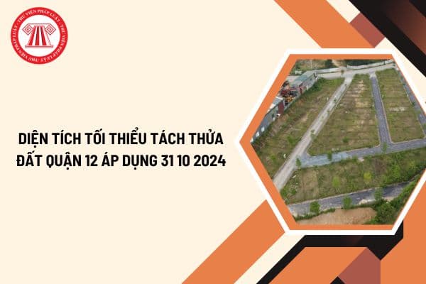 Diện tích tối thiểu tách thửa đất Quận 12 áp dụng 31 10 2024? Việc tách thửa, hợp thửa đất phải đảm bảo điều kiện gì?