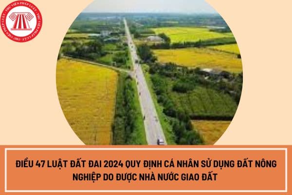 Điều 47 Luật Đất đai 2024 quy định cá nhân sử dụng đất nông nghiệp do được Nhà nước giao đất thì chỉ được chuyển đổi quyền sử dụng đất nông nghiệp trong cùng đơn vị hành chính cấp nào cho cá nhân khác?